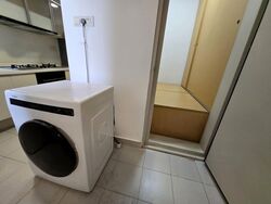 One Amber (D15), Condominium #566570451